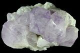 Wide Amethyst Crystal Cluster - Large Points #78153-3